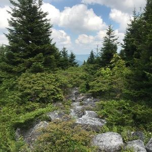 Meet your Posher, Derek